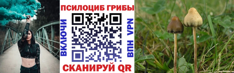 мега зеркало  Светлоград  Галлюциногенные грибы мухоморы  наркотики 